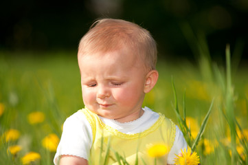Baby sitzt auf einer Blumenwiese
