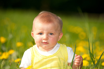 Baby sitzt auf einer Blumenwiese