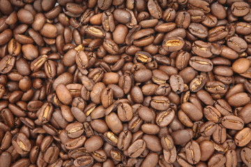 珈琲豆の背景