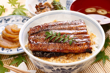 土用の丑の日の鰻蒲焼き