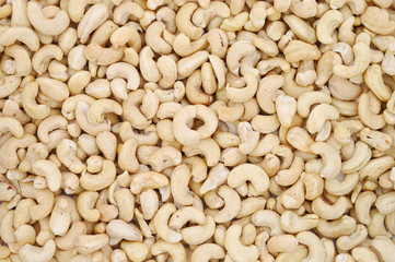 Cashews nut background