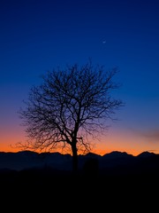 Fototapeta na wymiar albro al tramonto