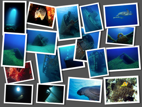 collage subacquea