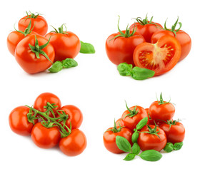 Tomatoes collection isolated on white background
