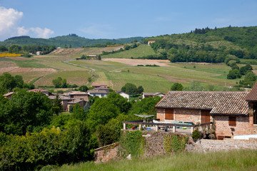 Fototapeta na wymiar paysage viticole