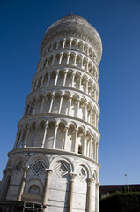 Fototapeta na wymiar Torre di Pisa dal basso
