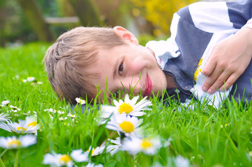 Kind in mitten von Gänseblümchen © Kathleen Rekowski