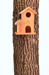 Wooden birds house (starling-house) on a tree trunk, isolated