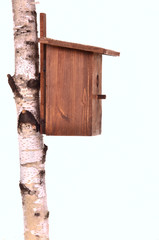 Brown starling-house on a birch trunk isolated