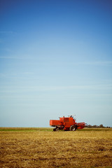 Fototapeta premium Red combine harvester working in a wheat field