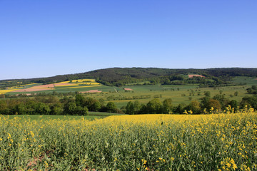 view of the valley with rape fields
