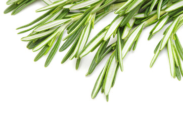 rosemary