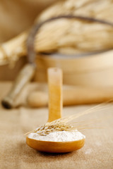 farina grano