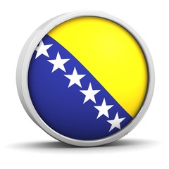 Bosnian flag