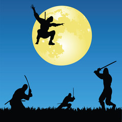 ninjas © Emir Simsek