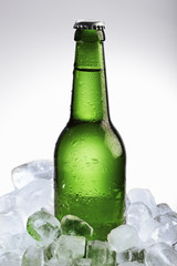 Beer bottle in ice cubes