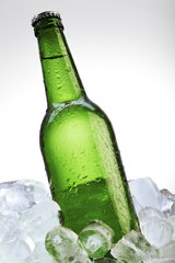 Green beer bottle on ice