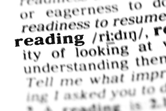 reading (the dictionary project)