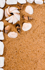 Sea shells and stones frame on sand