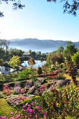Obraz premium the garden