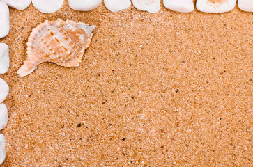 Sea shells  frame on sand