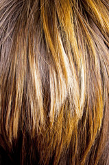Fototapeta premium Highlight hair texture abstract background
