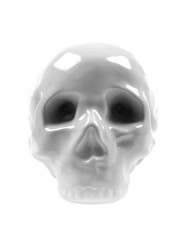 Human Skull