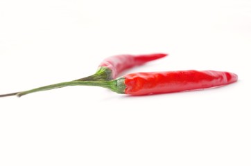 Hot Chili