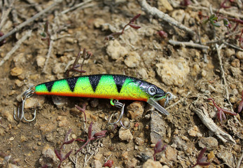 beautiful fishing lure