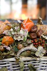 Herbstfrüchte