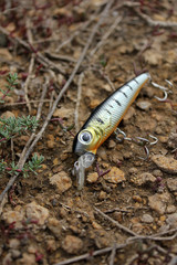 beautiful fishing lure