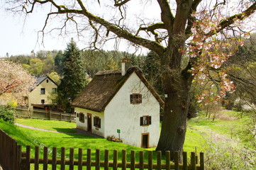 Obraz premium Häuschen mit Reetdach