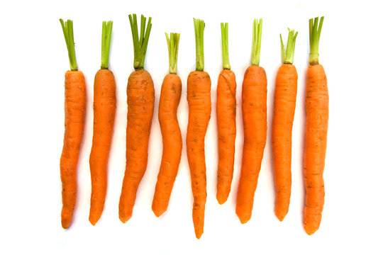 Line of carrots over white