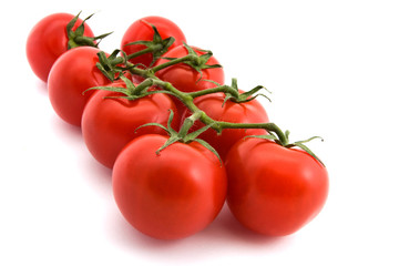 Tomatoes on the vine over white
