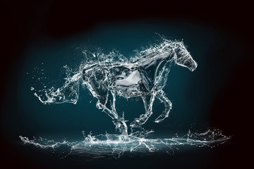 Obraz premium water horse