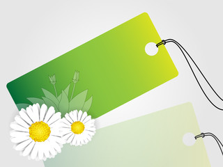 Spring fresh price tag with flowers