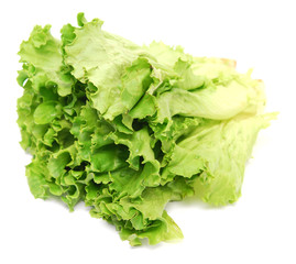 lettuce