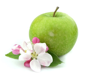 apple with flower