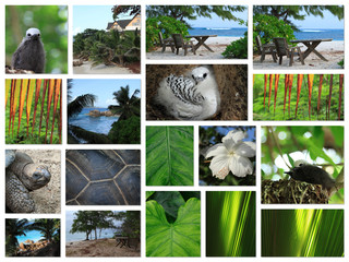 seychelles desktop collage