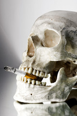 Naklejka premium Skull with burning cigarette in mouth