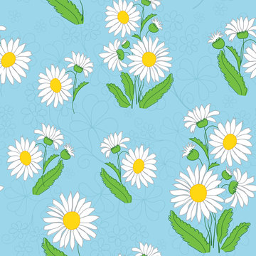 vector floral light blue pattern with chamomiles