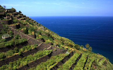 Landscape on La Gomera, Canary island,Spain © anilah