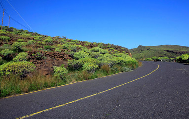 the empty road on La Gomera, Canary island, Spain
