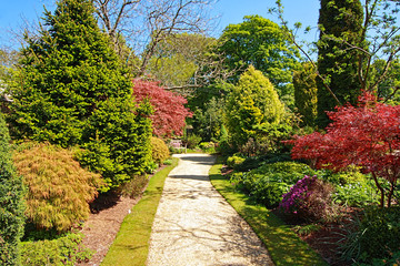 Beautiful Spring garden