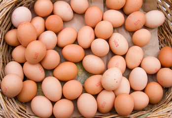 Eggs