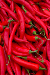 Red Pepper