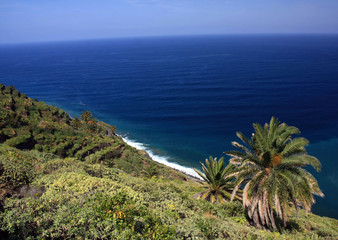 Parque National de Garajonay, La Gomera, Canary island, Spain © anilah