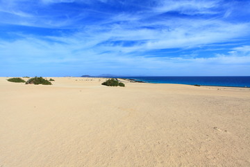 Dünen im Naturpark von Corralejo auf Fuerteventura