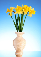 Yellow daffodils in a vase on blue background