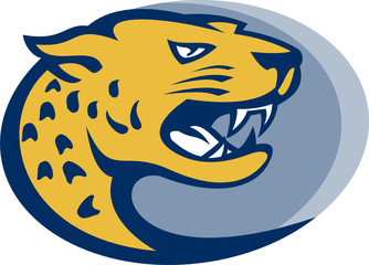 jaguar head © Redwater Vectors